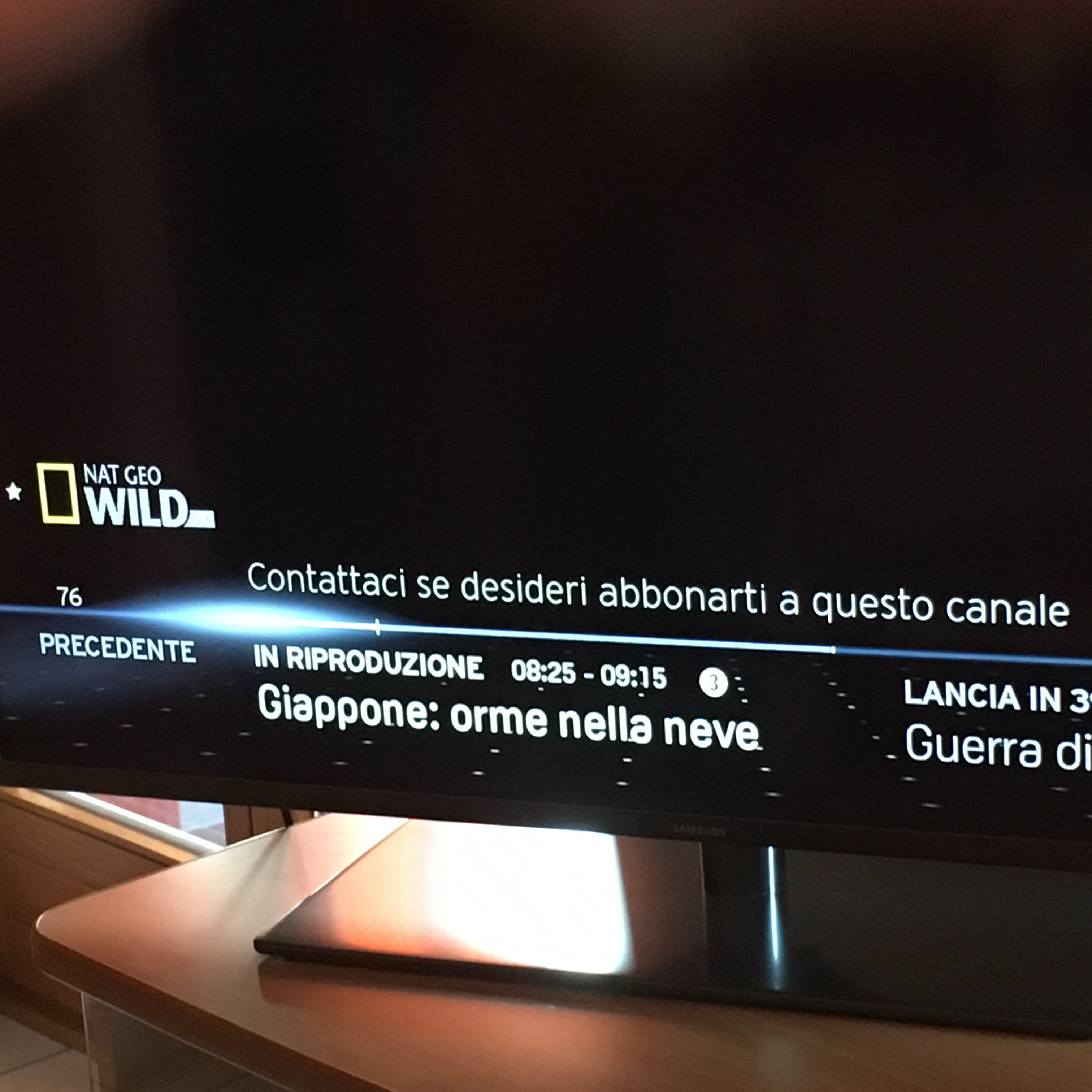 30187ib997a3e3650e3c38.jpg IMG_0046.JPG