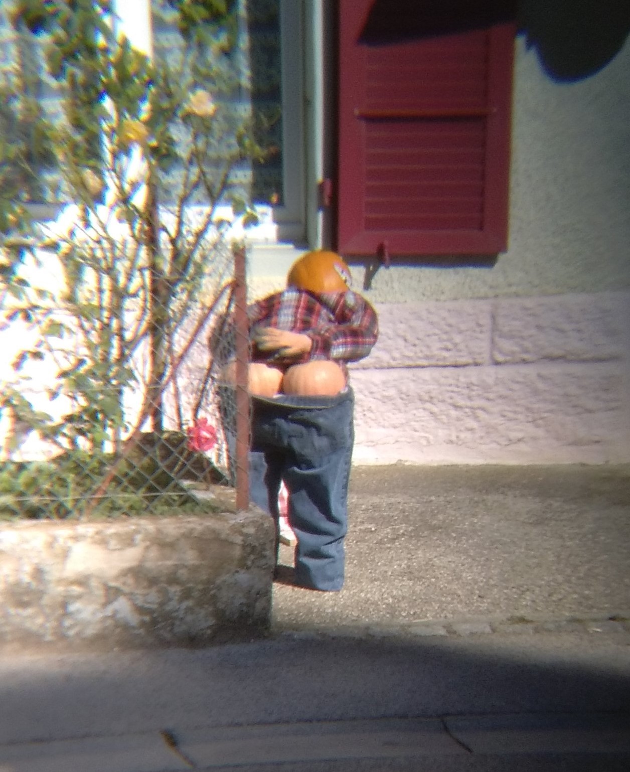 IMG_20190913_111718 Movelier_Z.jpg