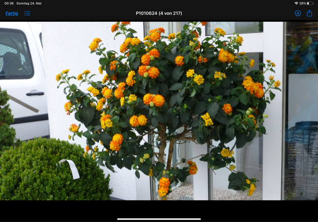 37284i627657a4e769eae7.png A356913F-7969-41AC-AD29-F7C56F411058.png