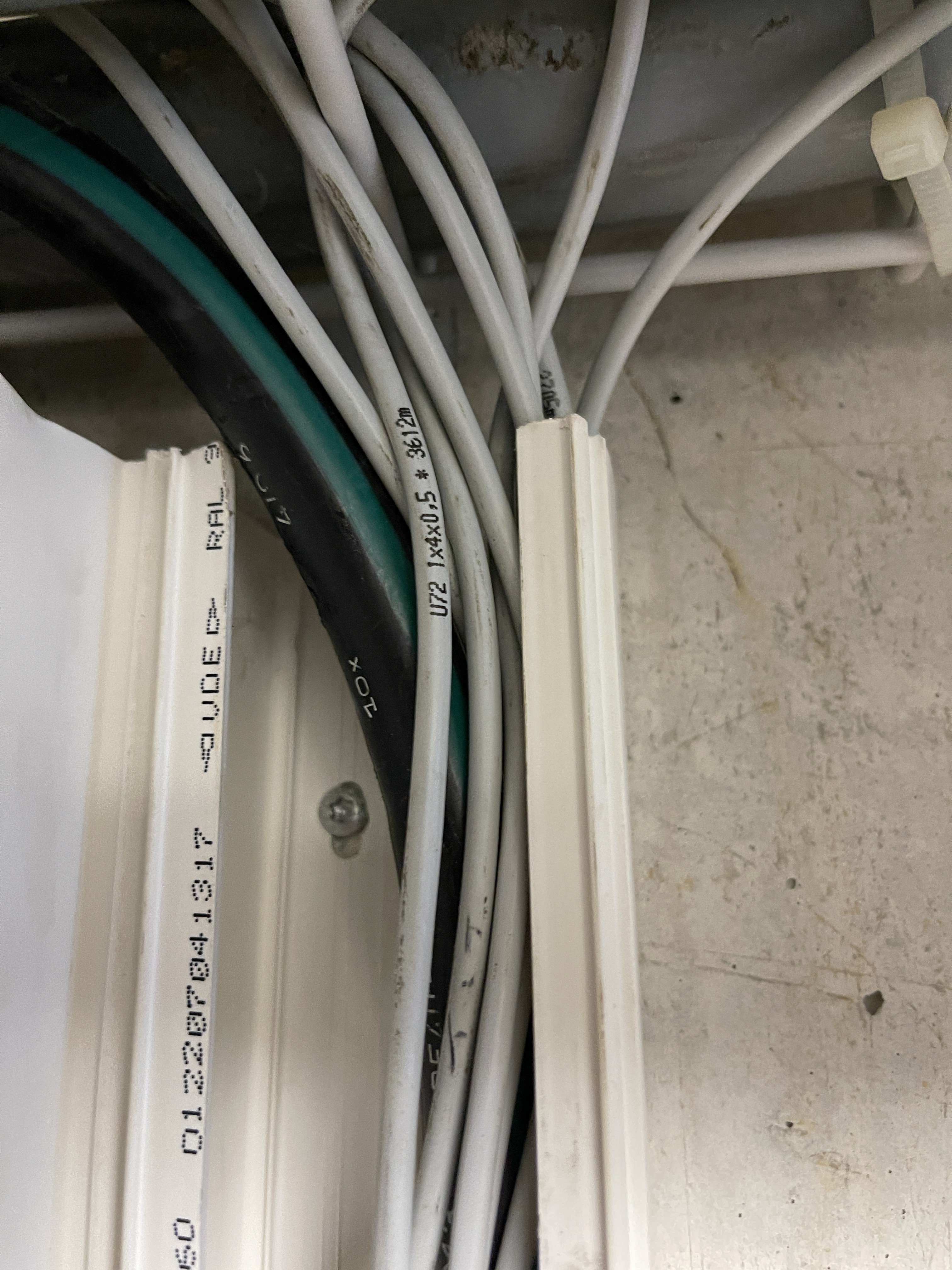 Foto 26.04.21, 16 39 01 (1).jpg