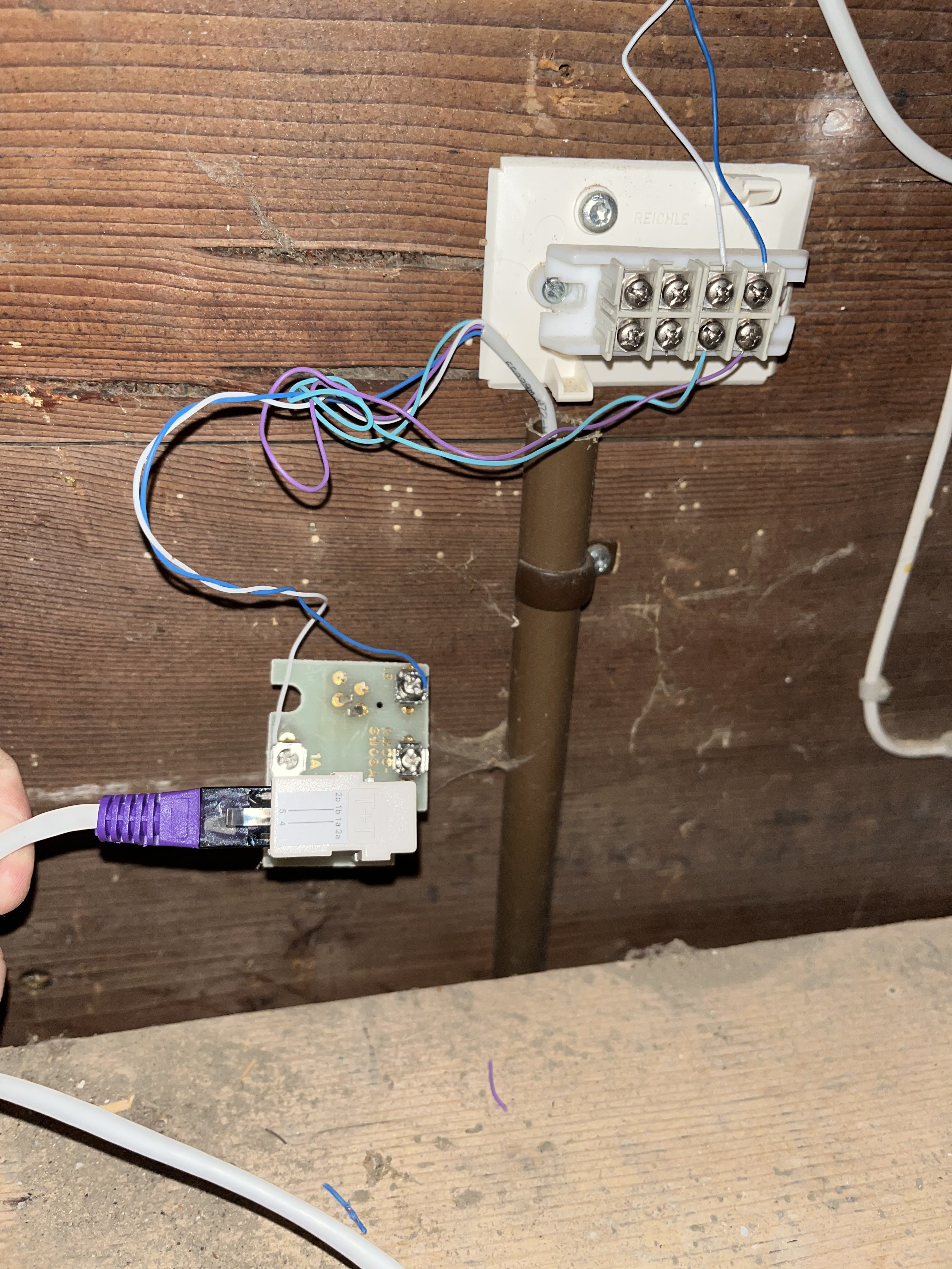 2022-03-26 19.30.jpeg