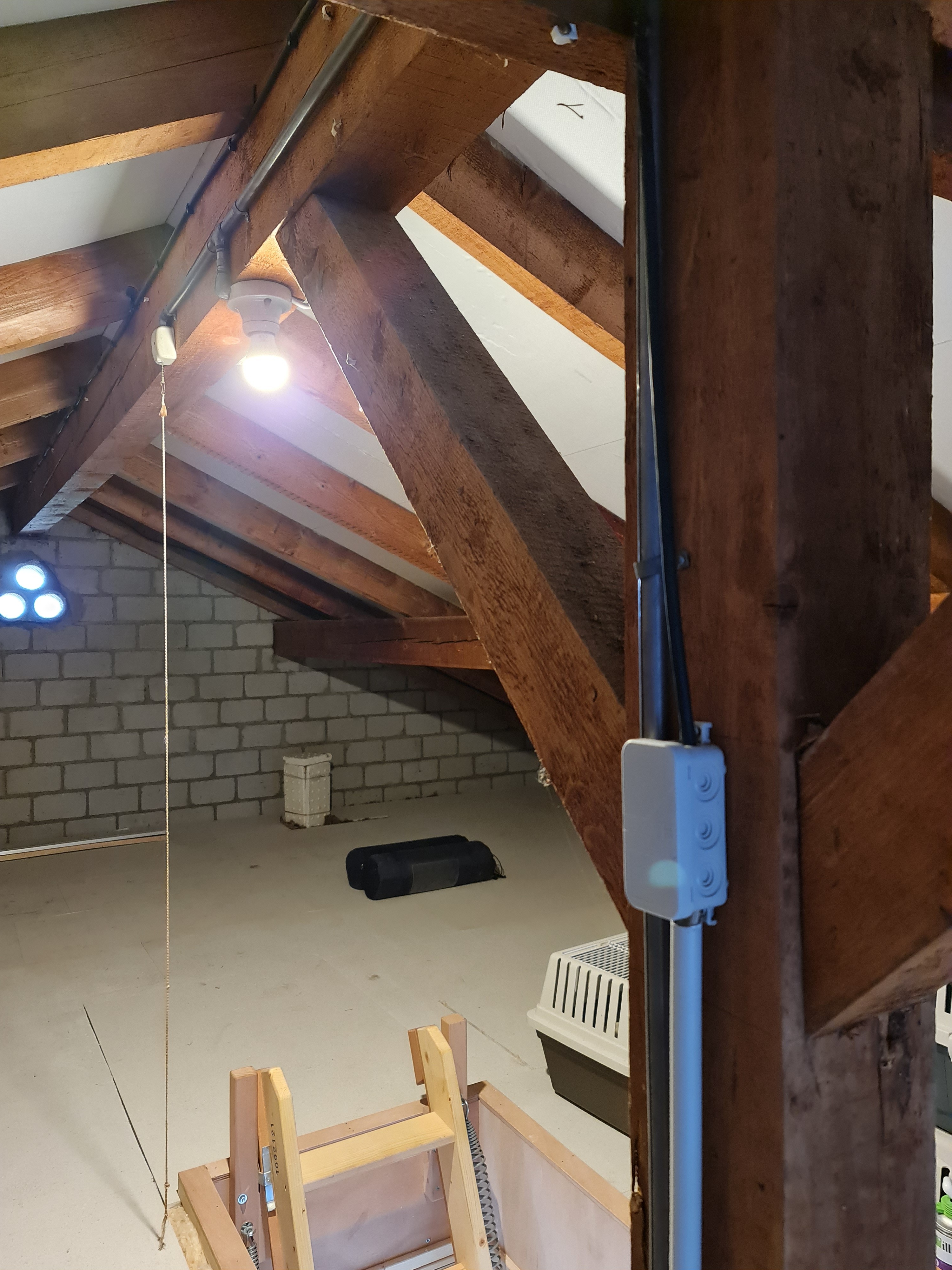 46482ib399fdca5d870a9c.jpg 20211203_144141.jpg