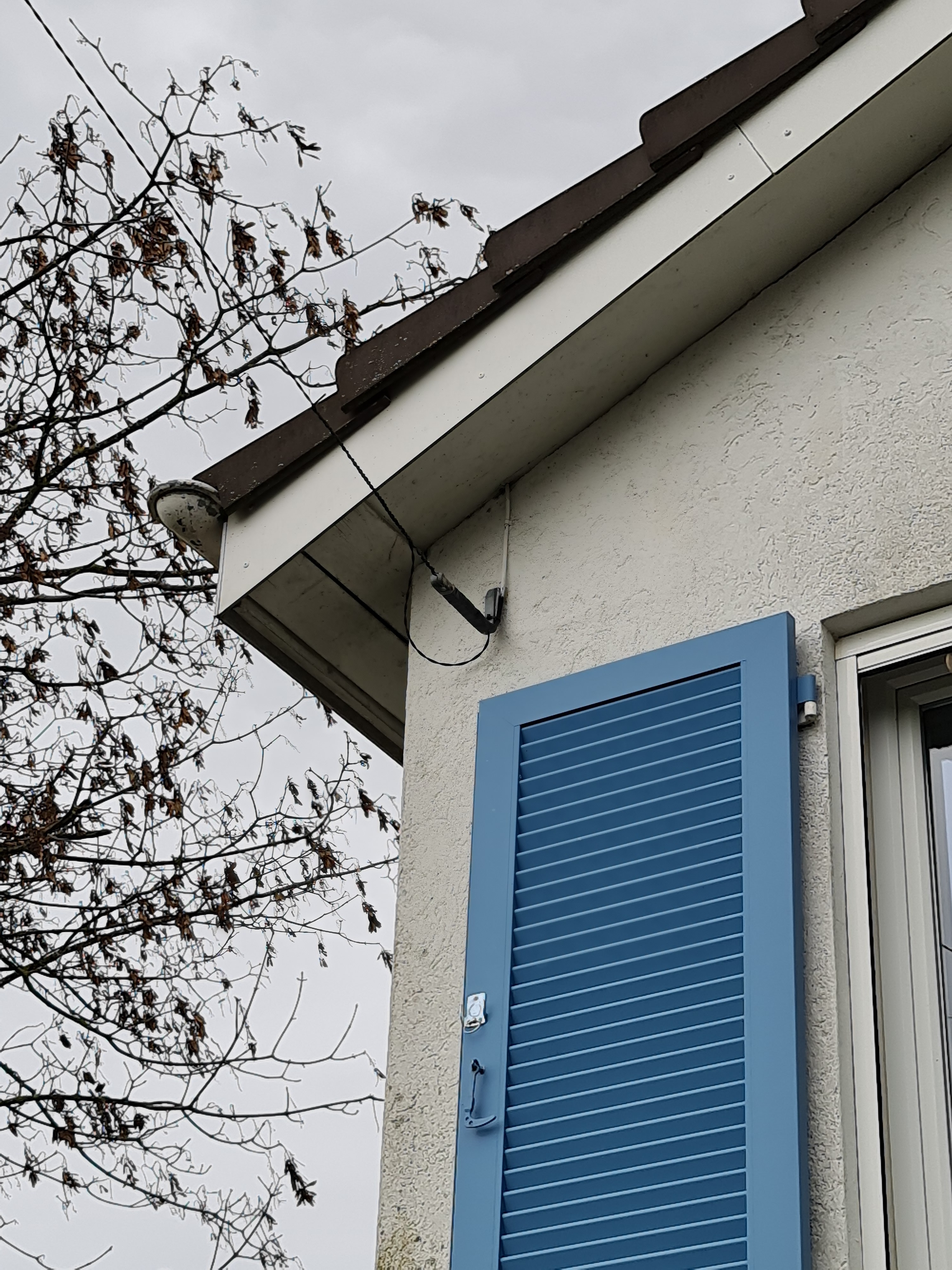 46481i0e843ca0cd8918ac.jpg 20201119_143604.jpg