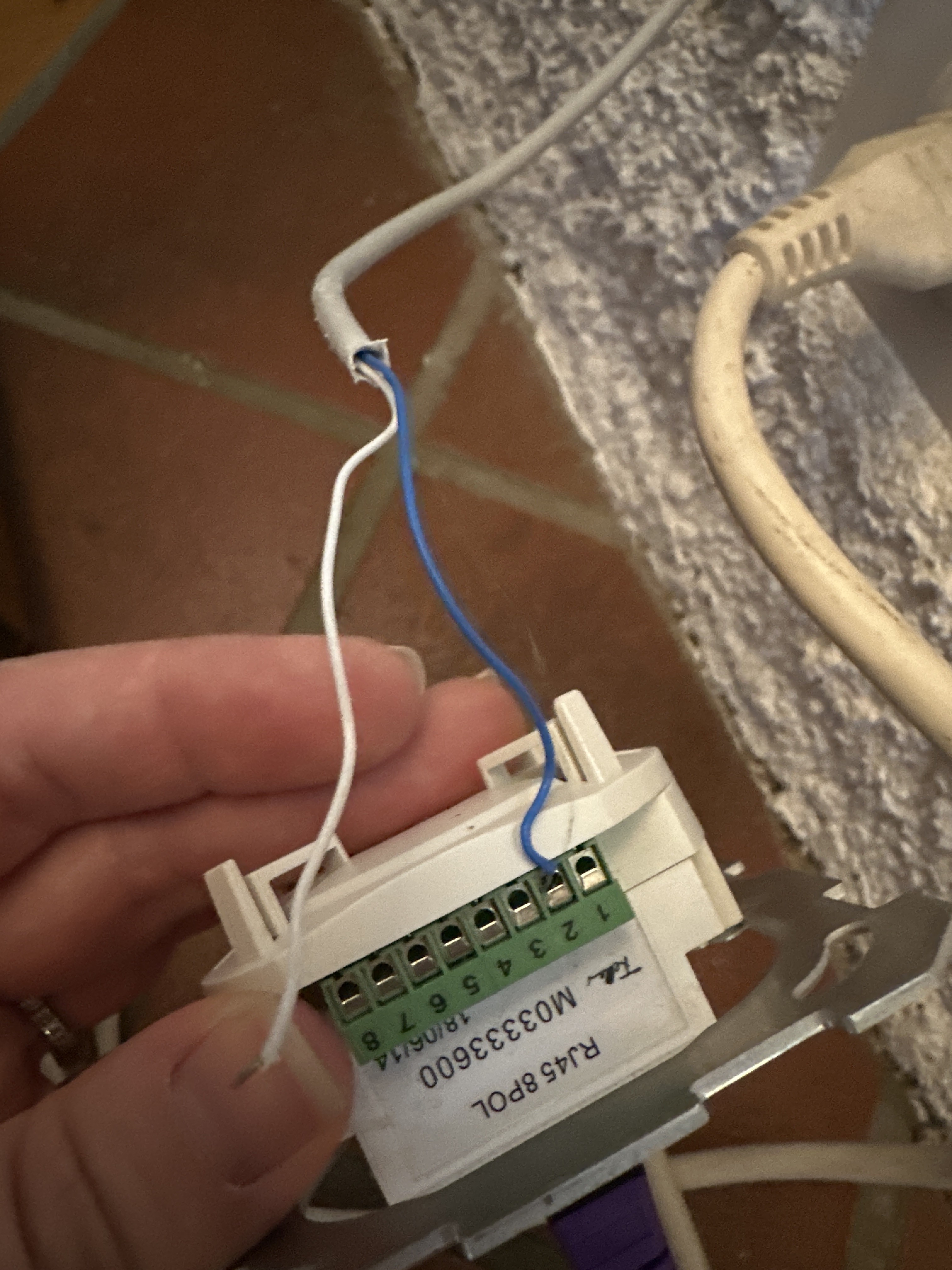 52967i1495f6b91c3fca2b.jpg image.jpg