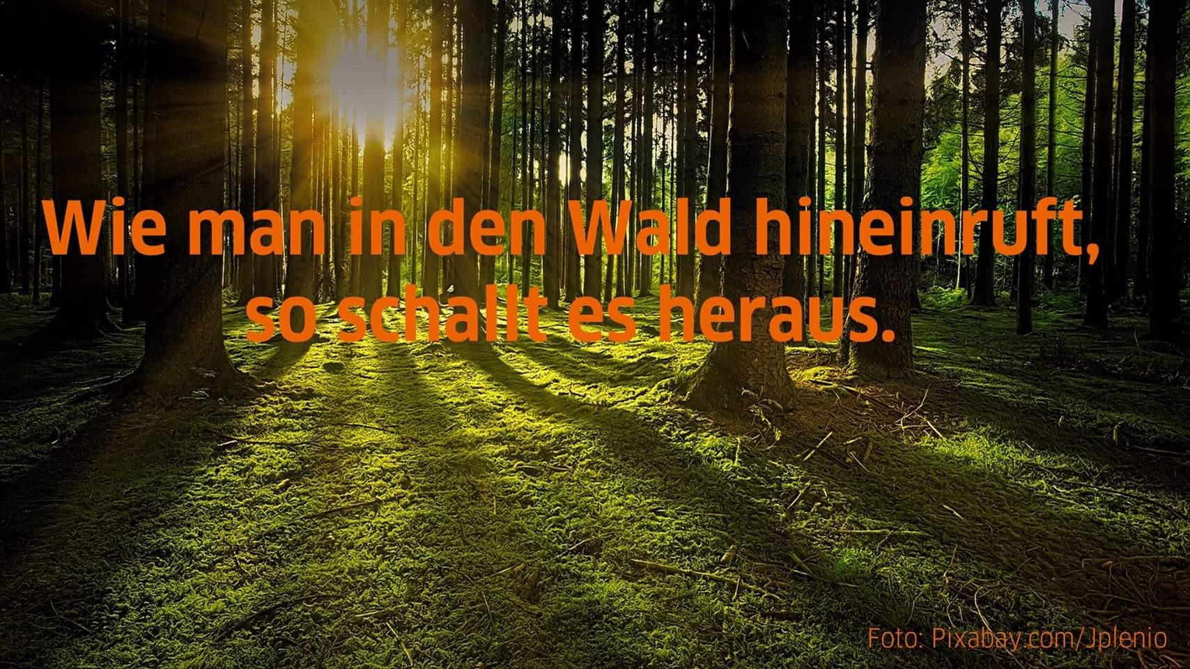 Hinein und heraus.jpeg