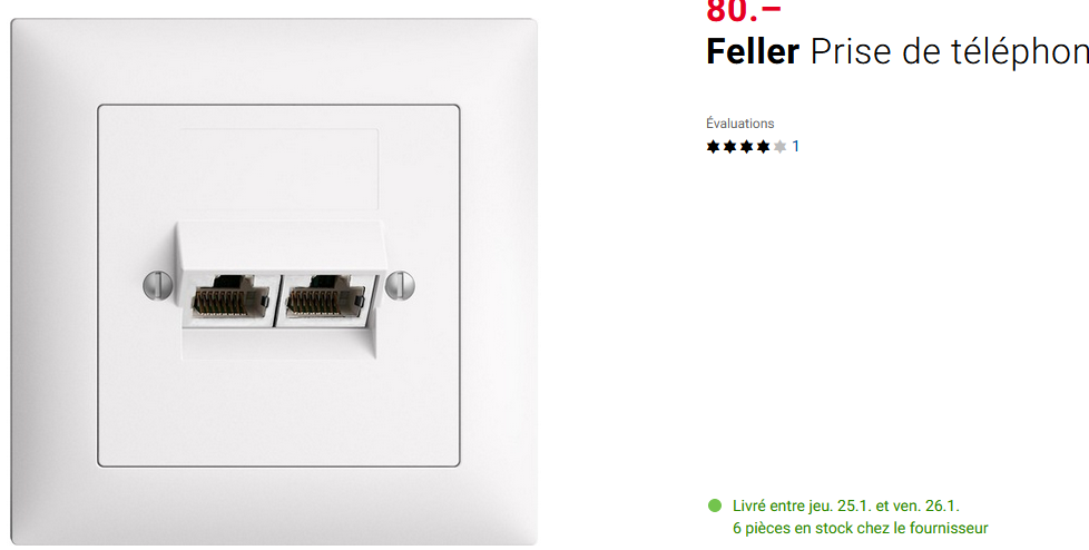 Prise murale double RJ45 blindé